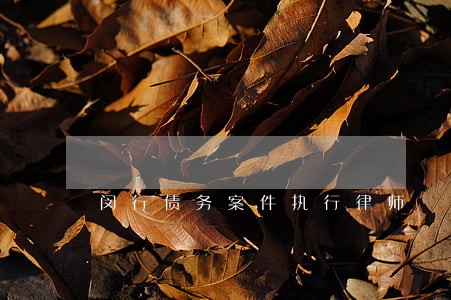 闵行债务案件执行律师