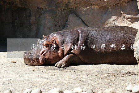闵行债务纠纷律师哪家强 闵行债务纠纷律师哪家强
