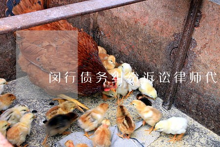 闵行债务纠纷诉讼律师代理费 闵行债务纠纷诉讼律师代理费