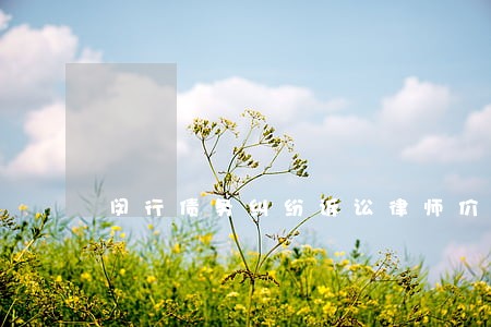 闵行债务纠纷诉讼律师价格 闵行债务纠纷诉讼律师价格