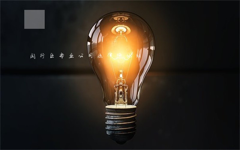 闵行区专业公司法律师地址 闵行区专业公司法律师地址