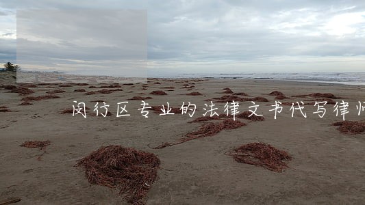 闵行区专业的法律文书代写律师 闵行区专业的法律文书代写律师
