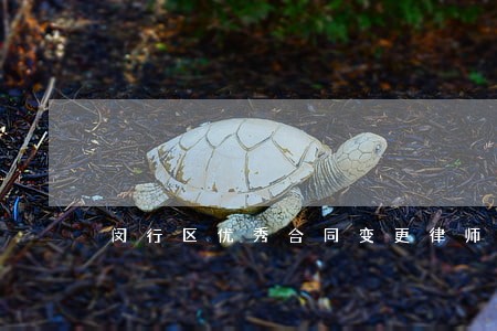 闵行区优秀合同变更律师 闵行区优秀合同变更律师