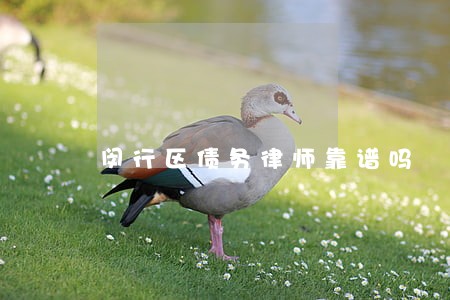 闵行区债务律师靠谱吗 闵行区债务律师靠谱吗