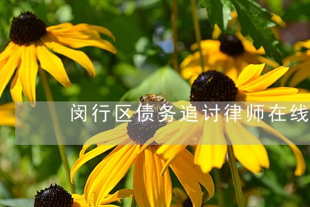 闵行区债务追讨律师在线咨询 闵行区债务追讨律师在线咨询