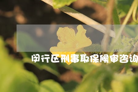 闵行区刑事取保候审咨询律师