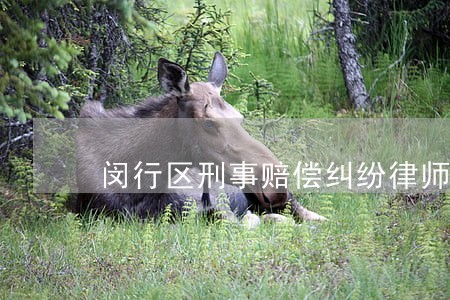 闵行区刑事赔偿纠纷律师 闵行区刑事赔偿纠纷律师