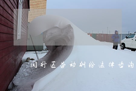 闵行区劳动纠纷法律咨询 闵行区劳动纠纷法律咨询