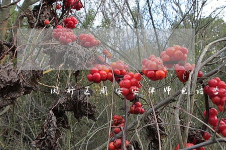 闵行区周安安律师电话咨询 闵行区周安安律师电话咨询