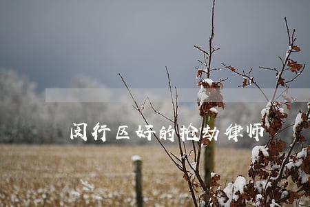 闵行区好的抢劫律师 闵行区好的抢劫律师
