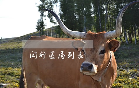 闵行区局列表 闵行区局列表