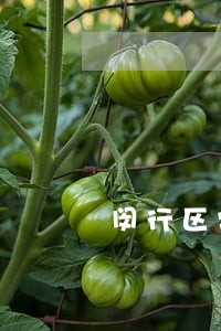 闵行区常年法律顾问咨询 闵行区常年法律顾问咨询