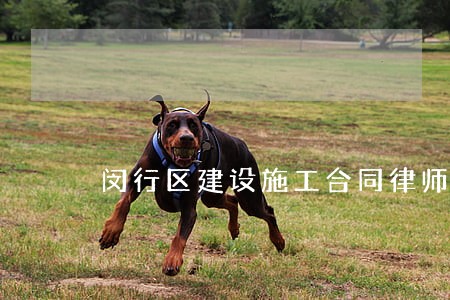 闵行区建设施工合同律师价格 闵行区建设施工合同律师价格