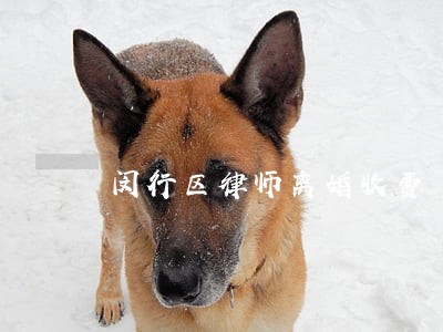 闵行区律师离婚收费 闵行区律师离婚收费