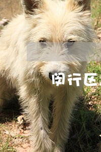 闵行区怎样找租房合同纠纷律师 闵行区怎样找租房合同纠纷律师