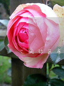 闵行区房产合同律师多少钱 闵行区房产合同律师多少钱