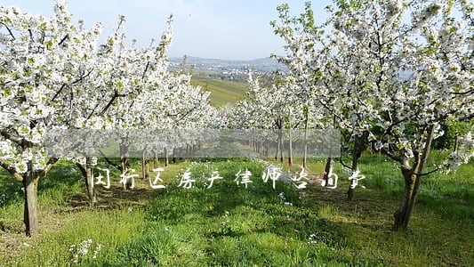 闵行区房产律师咨询费 闵行区房产律师咨询费