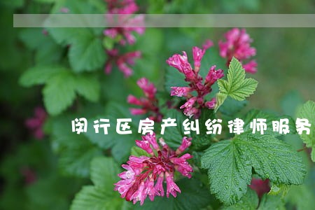 闵行区房产纠纷律师服务 闵行区房产纠纷律师服务