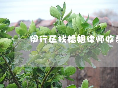 闵行区找婚姻律师收费 闵行区找婚姻律师收费