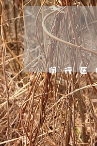 闵行区抵押担保咨询律师 闵行区抵押担保咨询律师