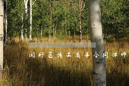 闵行区施工商事合同律师收费 闵行区施工商事合同律师收费