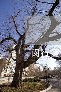 闵行区欠债起诉律师费用 闵行区欠债起诉律师费用