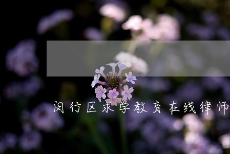 闵行区求学教育在线律师 闵行区求学教育在线律师