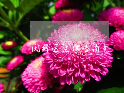 闵行区法律咨询点 闵行区法律咨询点