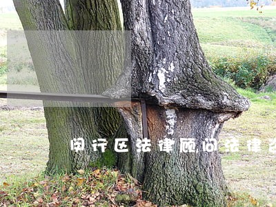 闵行区法律顾问法律咨询热线
