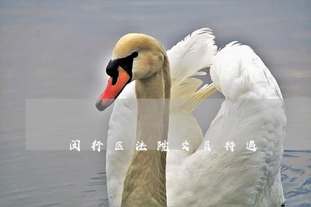 闵行区法院文员待遇 闵行区法院文员待遇