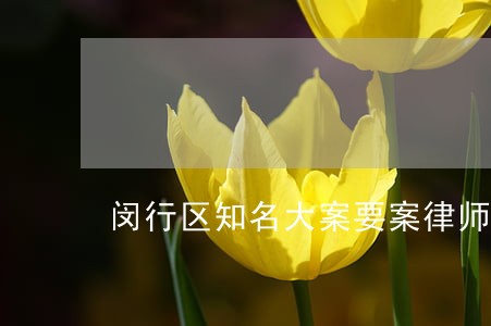 闵行区知名大案要案律师费用 闵行区知名大案要案律师费用