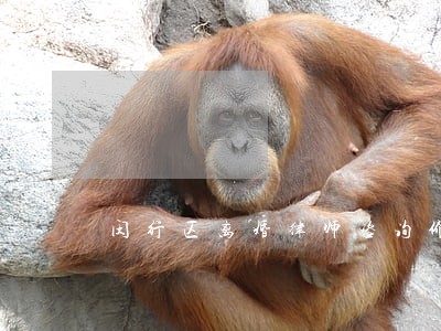闵行区离婚律师咨询价格 闵行区离婚律师咨询价格