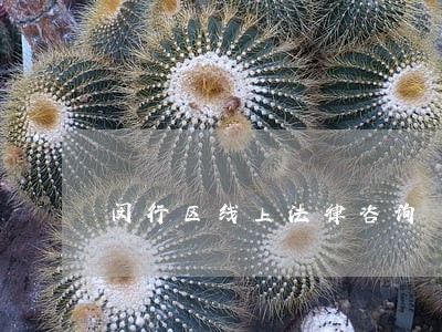 闵行区线上法律咨询 闵行区线上法律咨询