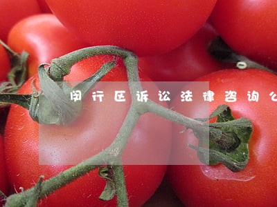 闵行区诉讼法律咨询公司 闵行区诉讼法律咨询公司