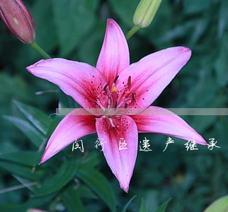闵行区遗产继承律师咨询平台 闵行区遗产继承律师咨询平台