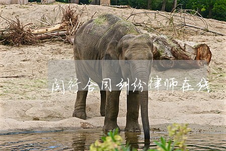 闵行合同纠纷律师在线 闵行合同纠纷律师在线