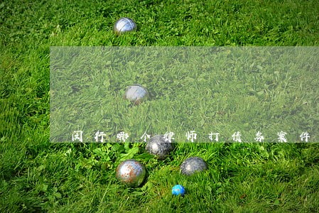 闵行哪个律师打债务案件好 闵行哪个律师打债务案件好