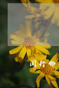 闵行哪个法律顾问的知名度高