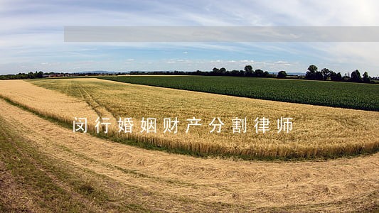 闵行婚姻财产分割律师 闵行婚姻财产分割律师