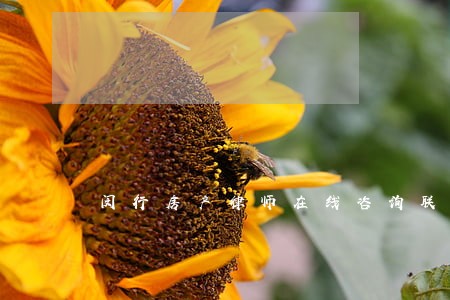 闵行房产律师在线咨询联系方式 闵行房产律师在线咨询联系方式