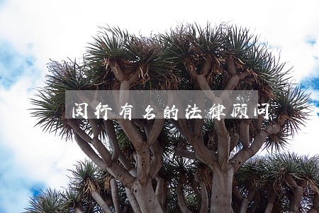 闵行有名的法律顾问 闵行有名的法律顾问