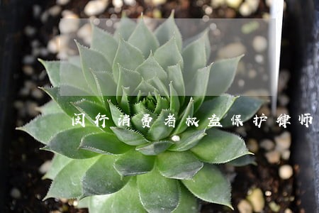 闵行消费者权益保护律师电话 闵行消费者权益保护律师电话