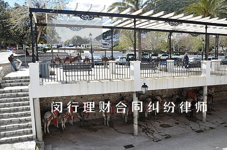 闵行理财合同纠纷律师
