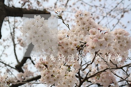闵行离婚债务纠纷律师 闵行离婚债务纠纷律师
