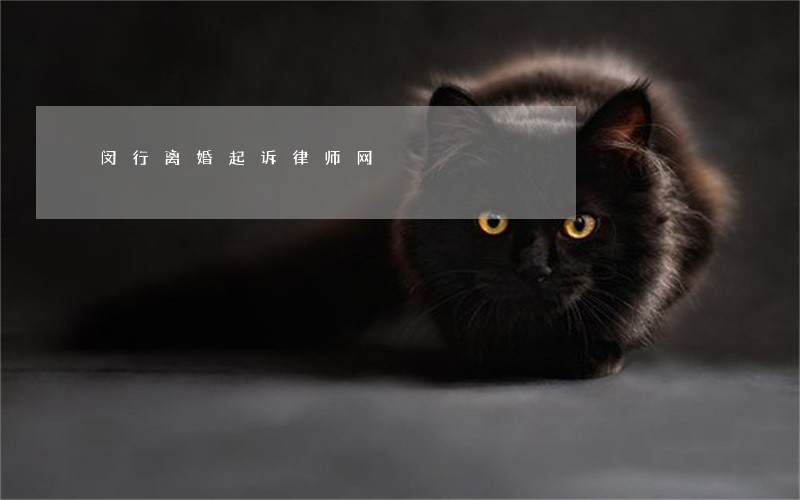 闵行离婚起诉律师网 闵行离婚起诉律师网