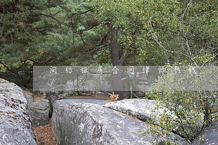 闵行租房合同律师热线 闵行租房合同律师热线