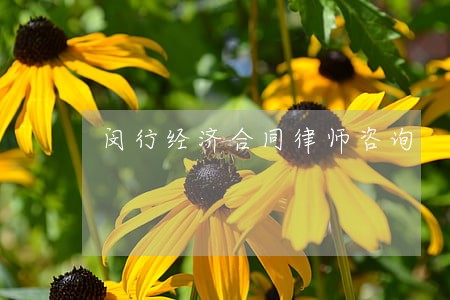 闵行经济合同律师咨询 闵行经济合同律师咨询
