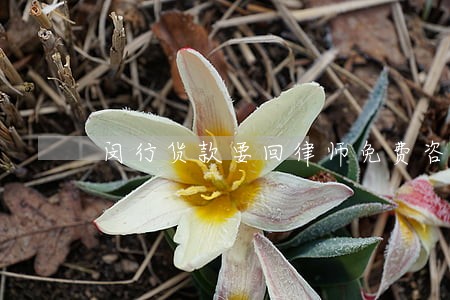 闵行货款要回律师免费咨询 闵行货款要回律师免费咨询