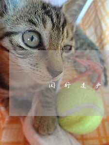 闵行遗产律师咨询电话 闵行遗产律师咨询电话