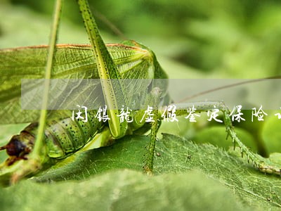 闵银龙虚假鉴定保险诈骗罪